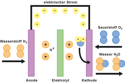 Funktionsweise der Brennstoffzelle mit Wasserstoff