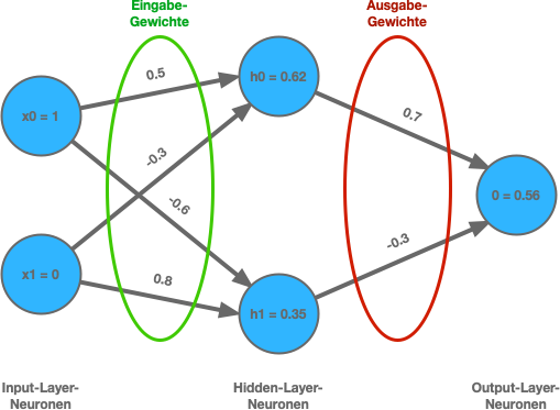 Aufbau eines neuronalen Netzes