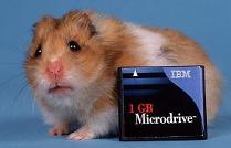 MicroDrive (MD)