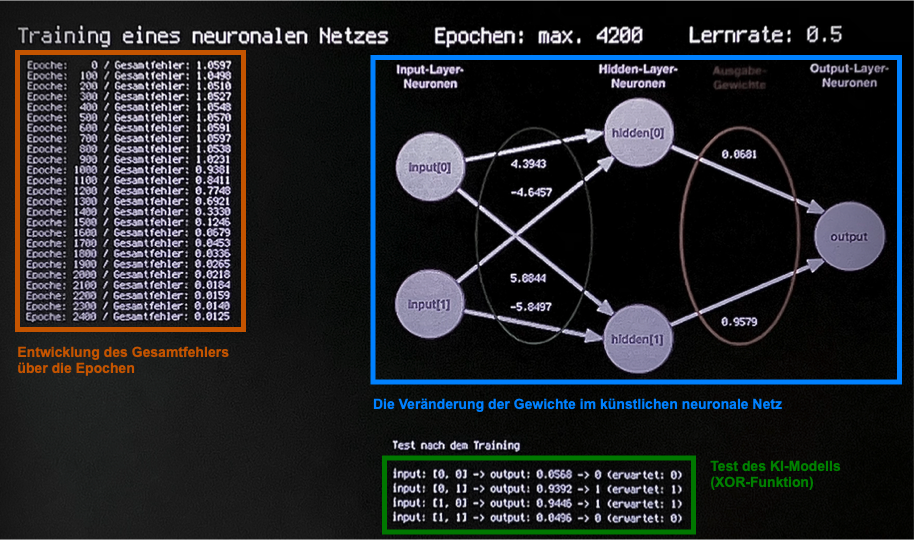 Projekt: Künstliches neuronales Netz beim Lernen zuschauen
