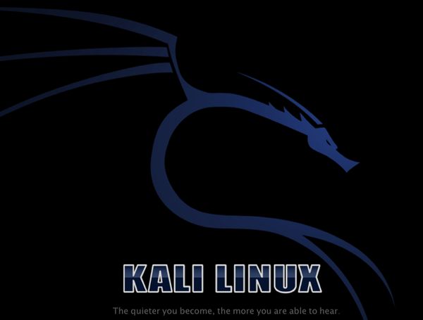 Kali Linux für den Raspberry Pi installieren
